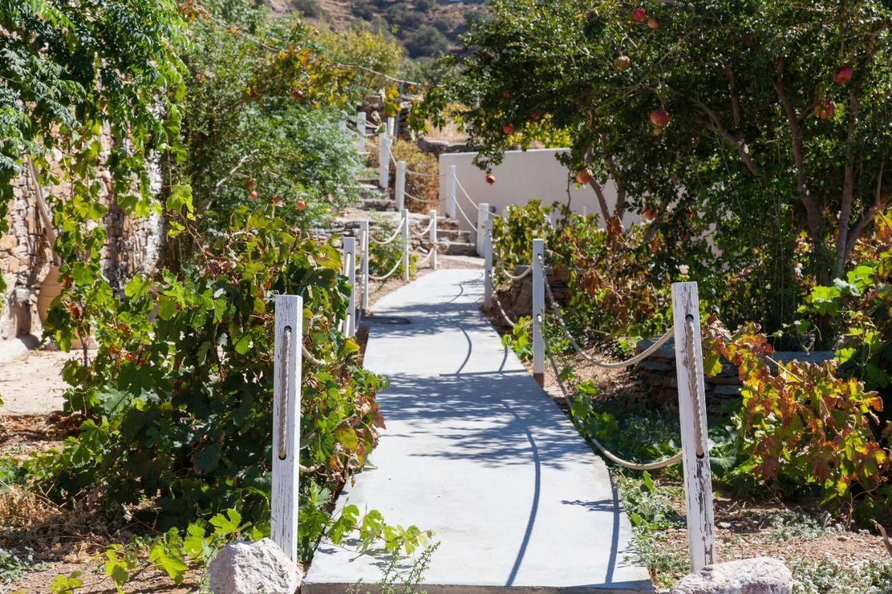 Kea Villa Thea- Villa Ilios Vourkárion Dış mekan fotoğraf